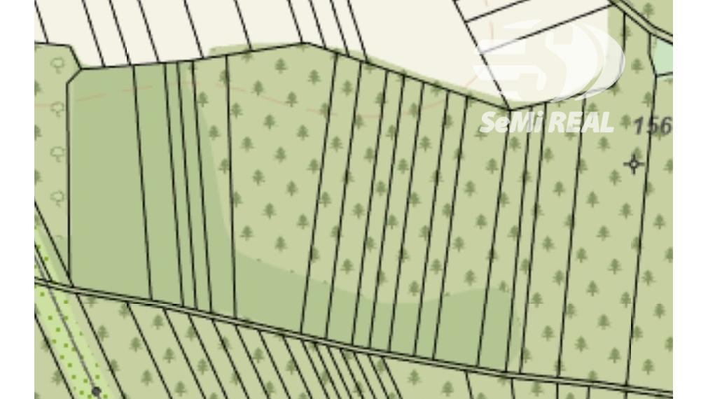 Predáme pozemok - les v osobnom vlastníctve - Borský Svätý Júr