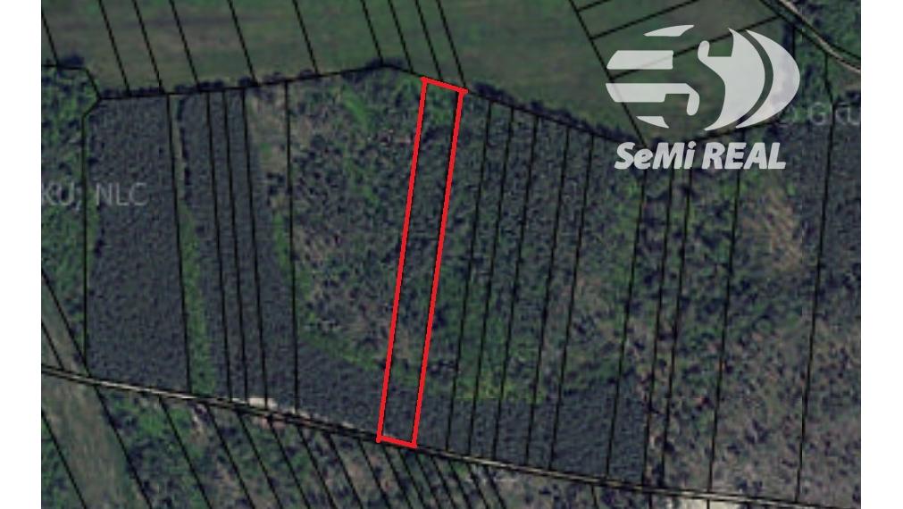 Predáme pozemok - les v osobnom vlastníctve - Borský Svätý Júr