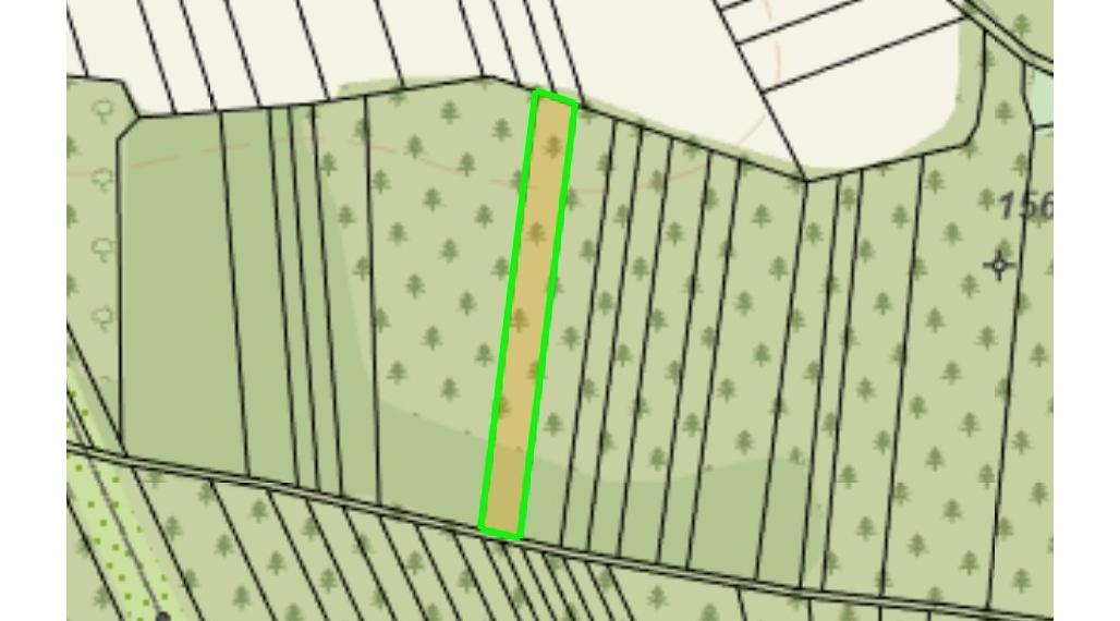 Predáme pozemok - les v osobnom vlastníctve - Borský Svätý Júr