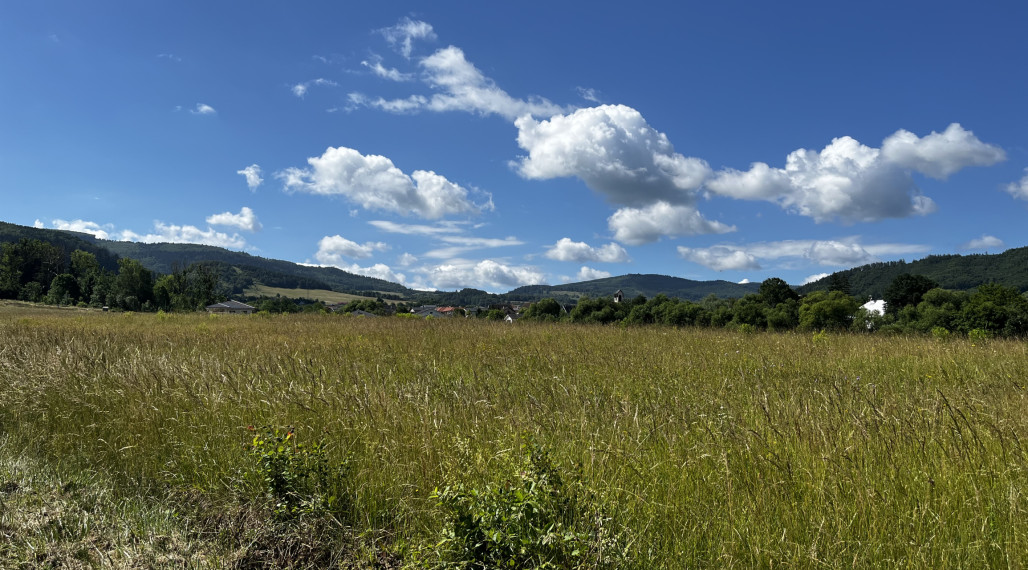 Na predaj slnečný pozemok s veľkým potenciálom (2555 m²) – Stožok