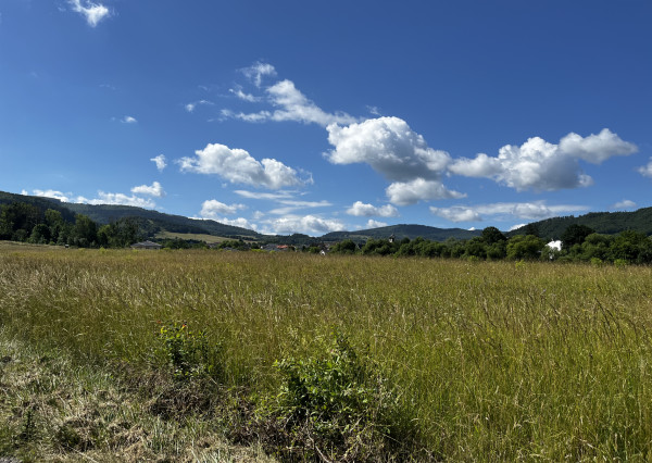 Na predaj slnečný pozemok s veľkým potenciálom (2555 m²) – Stožok