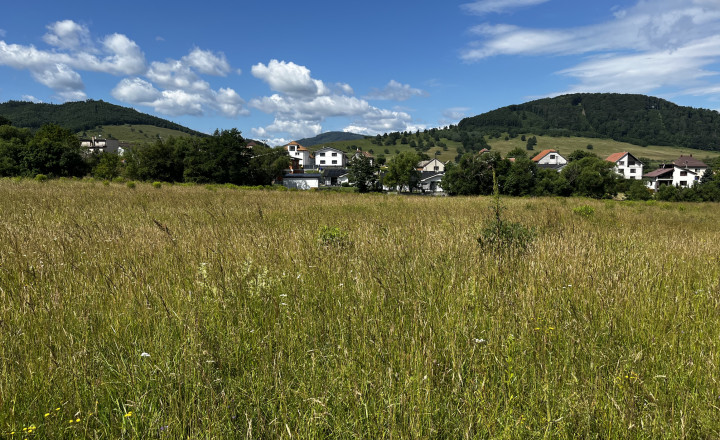 Na predaj slnečný pozemok s veľkým potenciálom (2555 m²) – Stožok - fotografia 1
