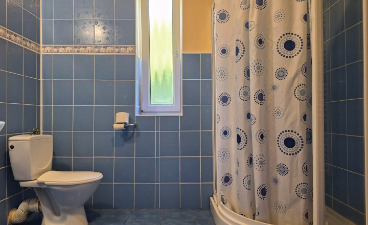 Priestranne riešený rodinný dom s garážou a veľkolepým pozemkom v Detve – Skliarovo - fotografia 9